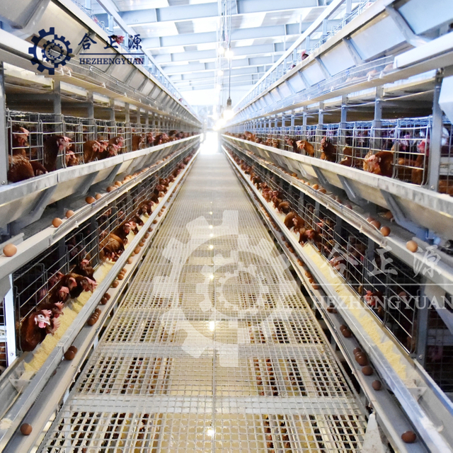 Hodowla kurczak&oacute;w typu H. 8-poziomowa klatka bateryjna dla drobiu na sprzedaż