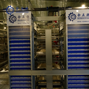 Syst&egrave;me automatique de cage de poules pondeuses &agrave; batterie avec machine automatique de collecte des œufs