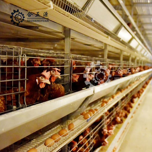 Hzycs450 Cage d'&eacute;levage manuelle 4 niveaux &agrave; vendre