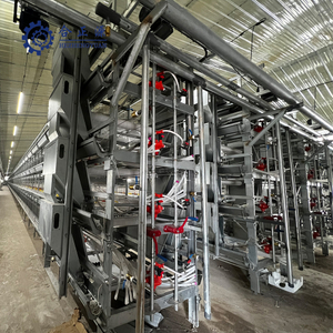 OEM Pullet Farm жабдығы сатуға арналған автоматты тор